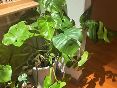 -沐森 •疗愈头疗馆(打浦桥店)