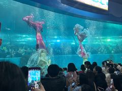 -苏州海洋馆