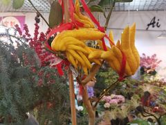 -双季花艺园艺市场(浦东店)