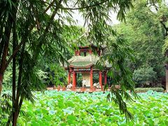 -房湖公园