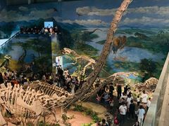 -自贡恐龙博物馆