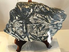 -房山世界地质公园博物馆