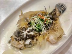 -茗鼎汇(星方汇广场店)