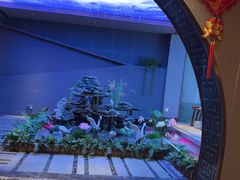 -陆琴脚艺·足浴·SPA(夫子庙店)