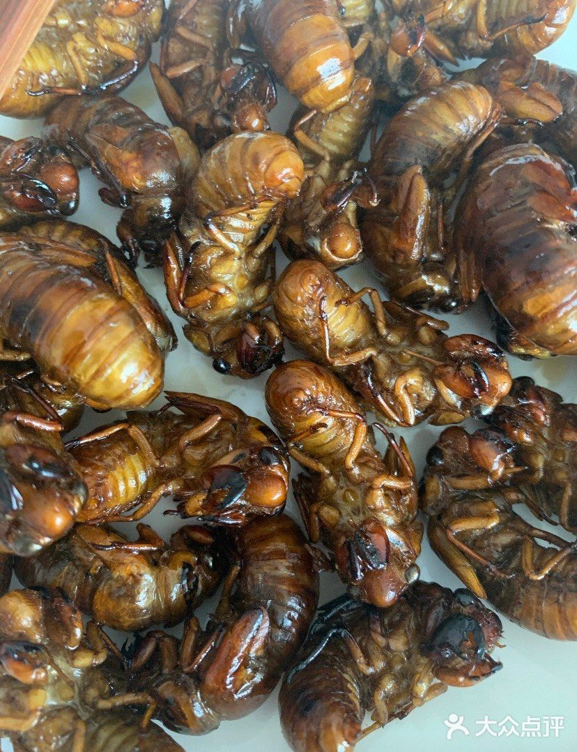 美食  |  见过的、吃过的～请举手🙋🏻‍♂️🙋🏻‍♂️🙋🏻‍♂️
