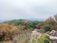 -灵岩山风景区