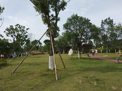 -铁山坪森林公园