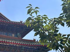 -天津大悲禅院