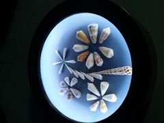 -中国湿地博物馆