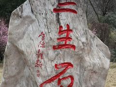 -丰都鬼城名山景区