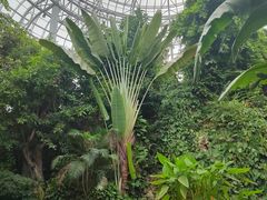 -郑州植物园