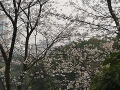-百林公园-两江幸福广场