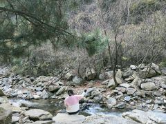 -少华山国家森林公园