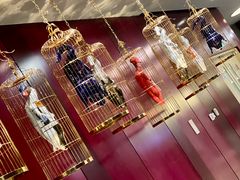 -悦江(梅奔中心店)