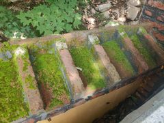 -丹东市五龙山风景区