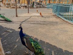 -水上乐园·欢乐世界