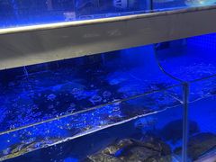 -王捌小院(红花坡店)