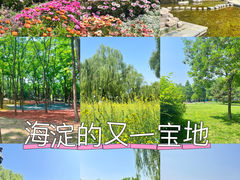 -海淀公园