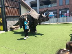 -恐龙探索乐园(磁器口店)