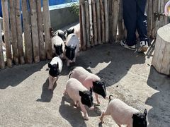 -水上乐园·欢乐世界