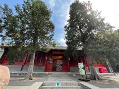 -大觉寺-停车场