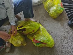 -马陆小张葡萄园农家乐