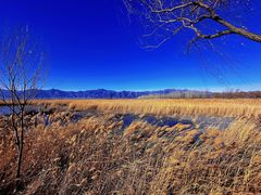 -野鸭湖国家湿地公园