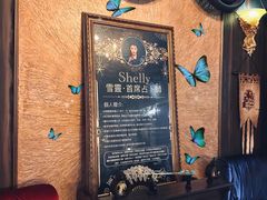 -雪灵魔法世界SHELLY’S TAROT(大良桂畔里店)