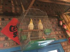 -关东情铁锅炖(迎春大街店)
