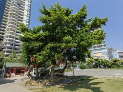 -碧桂园十里银滩