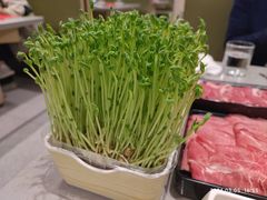-海底捞火锅(8号仓店)