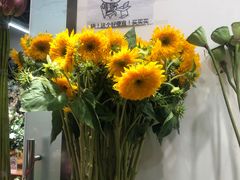 -双季花艺园艺市场(浦东店)