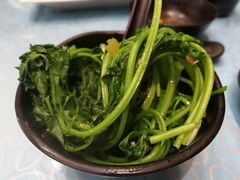 -欢乐海岸美食联盟