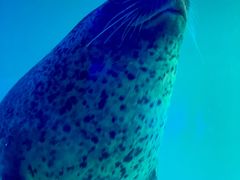 -正佳极地海洋世界