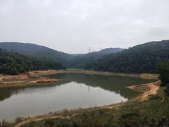 -东莞市大岭山森林公园