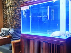 水产区-老江南春·中国龙菜(衡山路店)