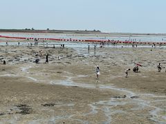 -北海金海湾红树林生态旅游区