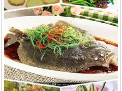 3&nbsp;-&nbsp;副本-纪林菜馆·博山菜老字号(华光路店)
