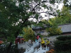 -红螺寺