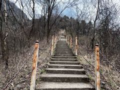 -陕西省红河谷森林公园