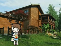 -合肥滨湖国家森林公园