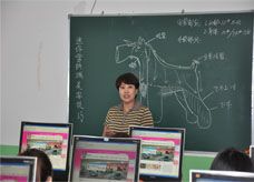 -优缇多格专业宠物美容师培训学校