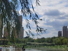 -前关湿地公园