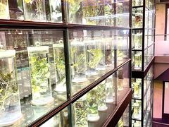 -广东中医药博物馆