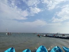 -碧海金沙