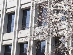 -中国（江苏）自由贸易试验区苏州片区一站式服务中心