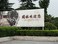 -关林