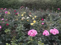 -迎泽公园