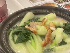 -新世界餐厅(万达店)
