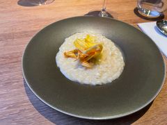 risotto-EGoN